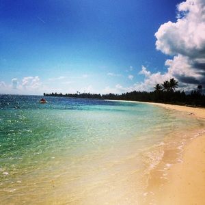 Meet your Posher, Vickie